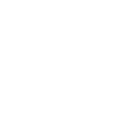Top IT Courses